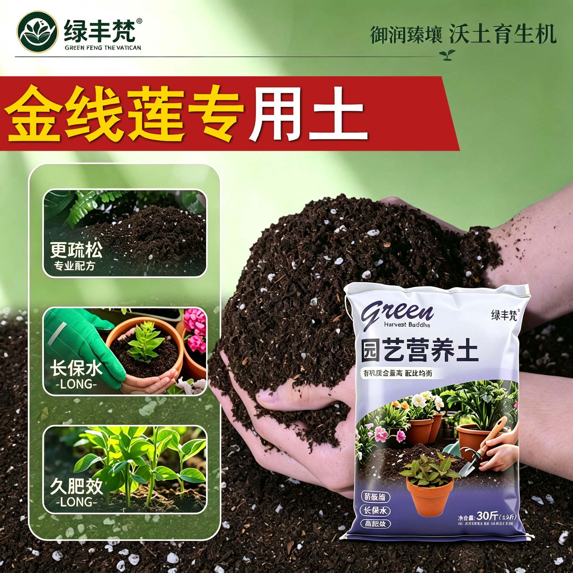 金线莲专用含泥炭根壮苗好不闷根菜园加有机肥进口促生长多肉园艺