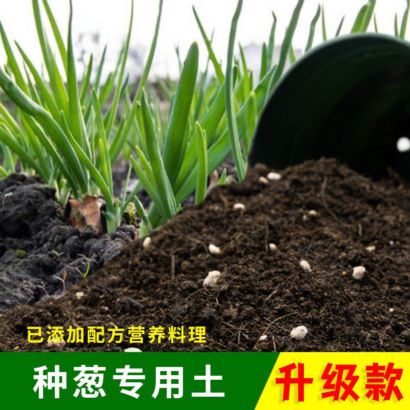 种葱专用土家用种植土壤透气阳台盆栽种花养花种葱营养土有机泥土