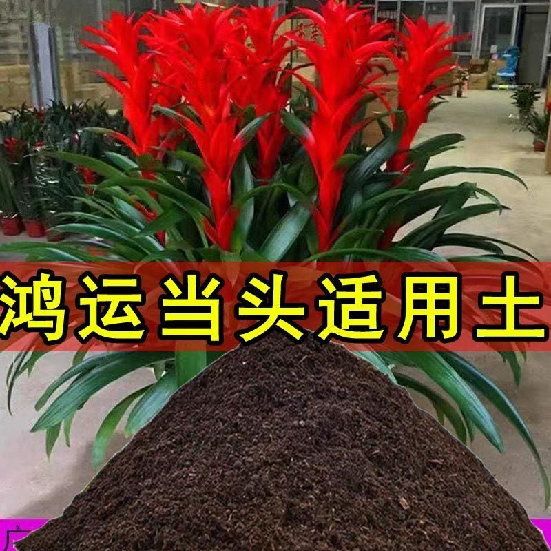 鸿运当头种植土专用营养土盆栽土育苗土室内养花土花卉土有机土壤