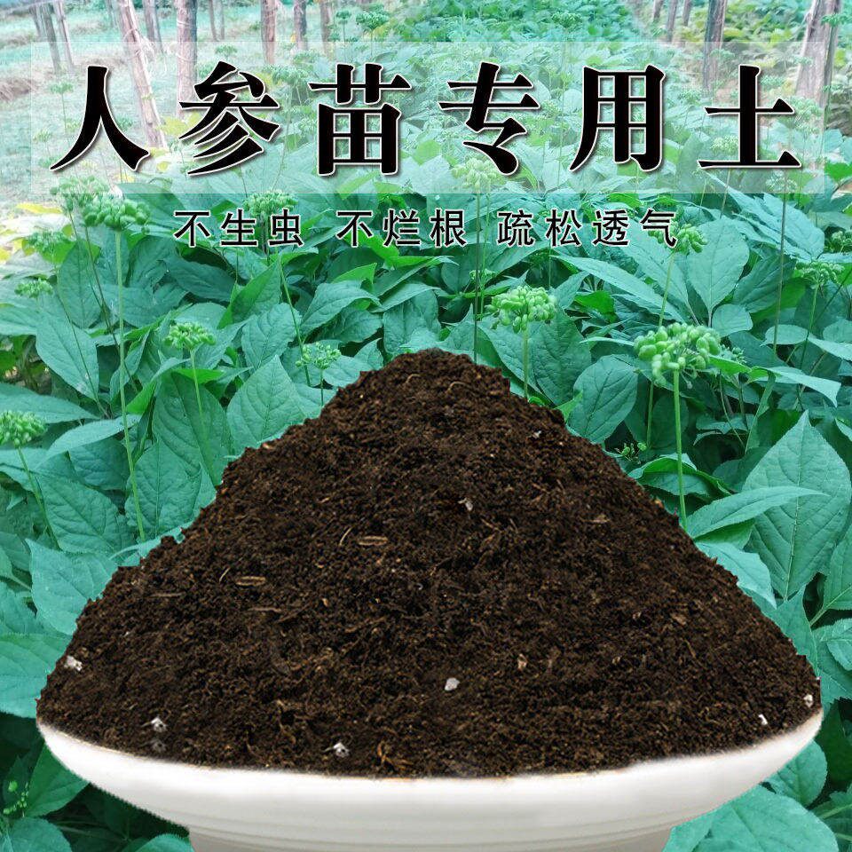 人参苗专用土人参苗土种植土壤营养土盆栽种花泥土透气通用养花土