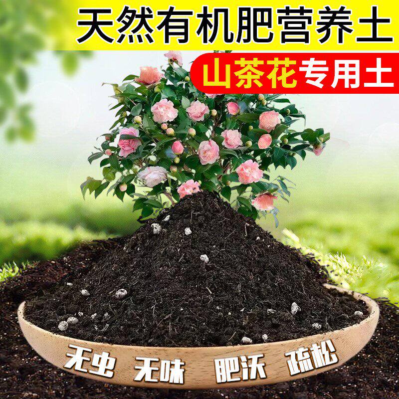 山茶花专用土大型花卉通用型营养土大颗老桩养花换盆种植土壤现配