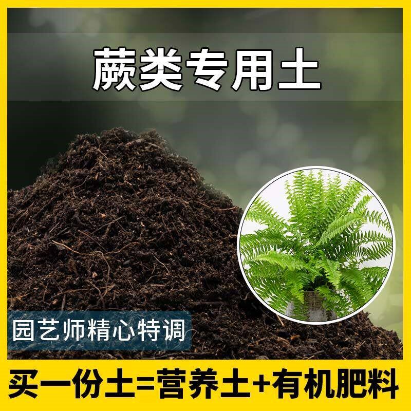 蕨类专用土蕨类植物优质土家用盆栽营养土酸性沙质土壤绿植种植土