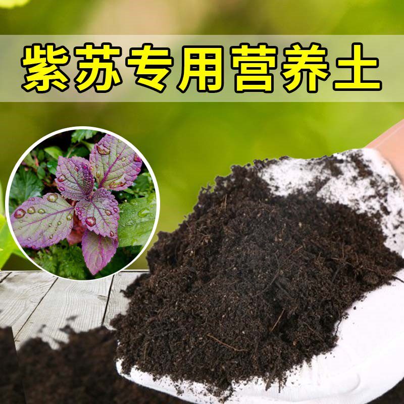 紫苏专用土家用种菜种植土肥料有机土壤阳台蔬菜盆栽土紫苏营养土