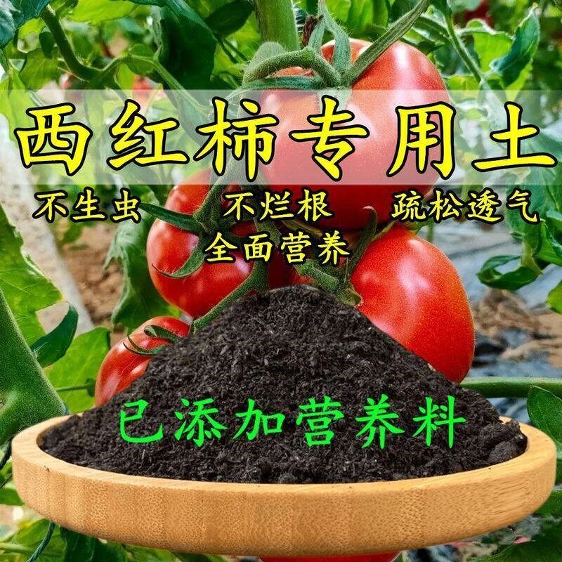 西红柿专用土番茄专用营养土