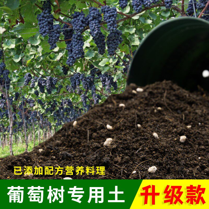葡萄树专用土农业果园盆栽土种花肥料有机种植土葡萄树专用营养土