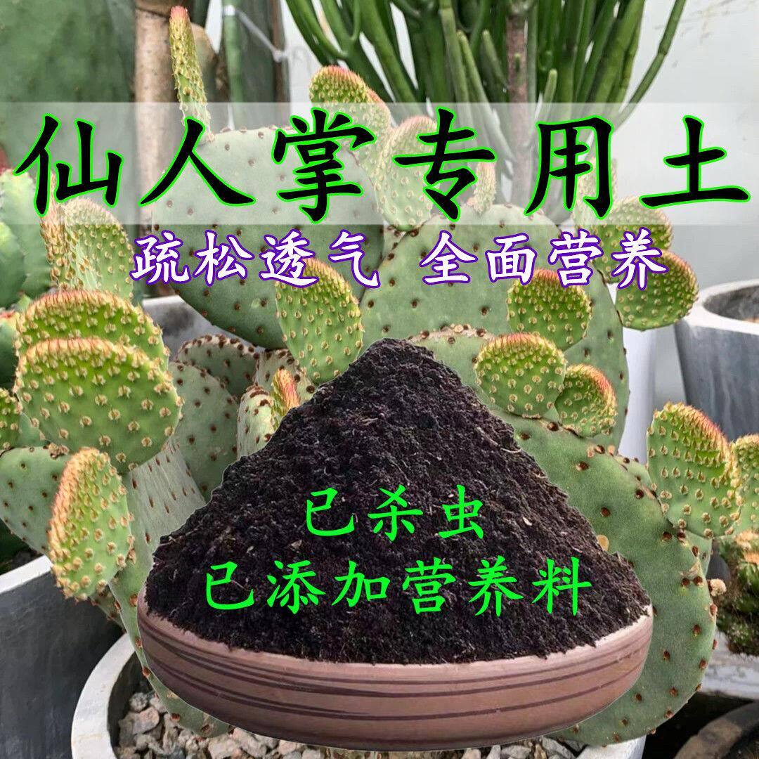 仙人掌专用土仙人球专用营养土盆栽土养花种花土通用种植土壤肥料