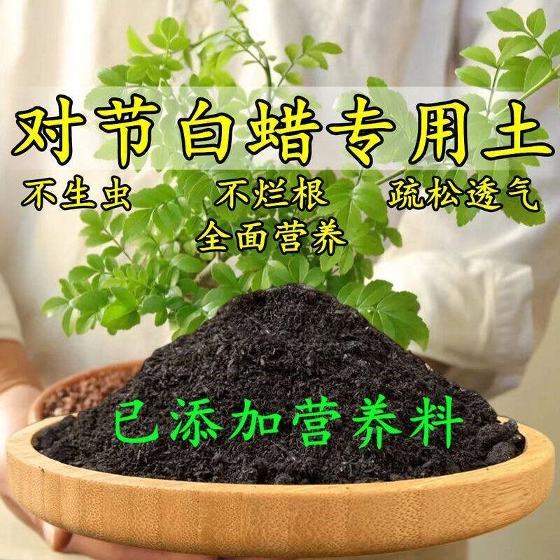 对节白蜡专用土对节白蜡专用