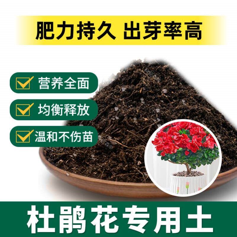 杜鹃花专用土花盆室内椰砖花草盆栽营养土透气土壤杜鹃花专用肥料