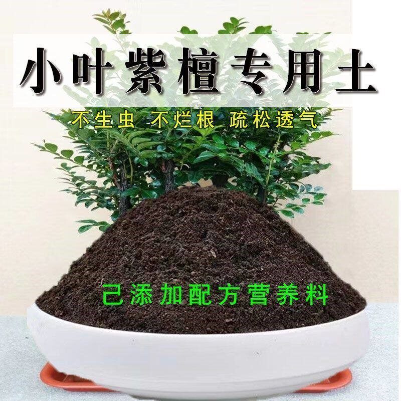 小叶紫檀专用土盆栽有机花土