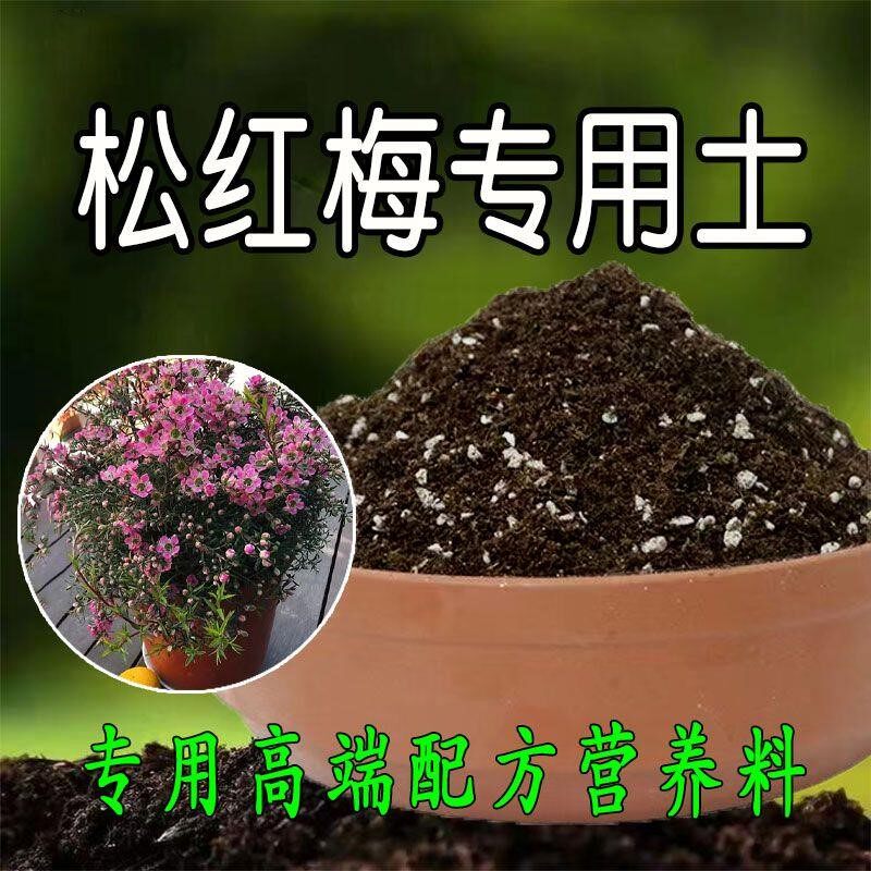 松红梅专用土绿植通用型营养土腊梅海棠花培植土壤生根有机腐殖土