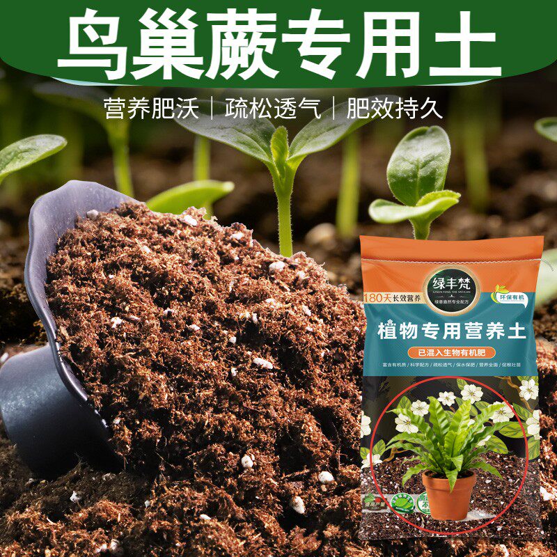 鸟巢蕨专用轻质基质土天然原料种植土有机质丰富绿叶试用装多肉