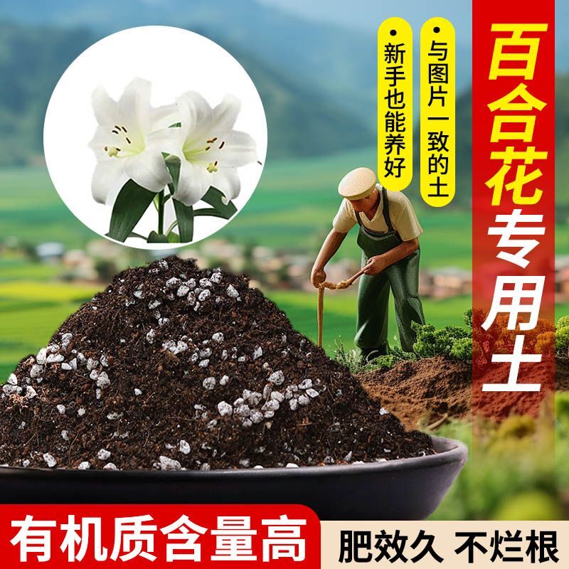 百合花营养土适用土含泥炭肥料通用有机种植土轻质疏松透气专用土