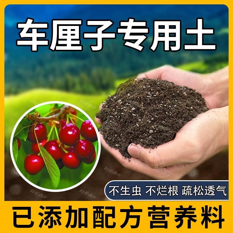 车厘子专用土肥料车厘子种树营养土通用果苗水果黑土包邮农业家庭