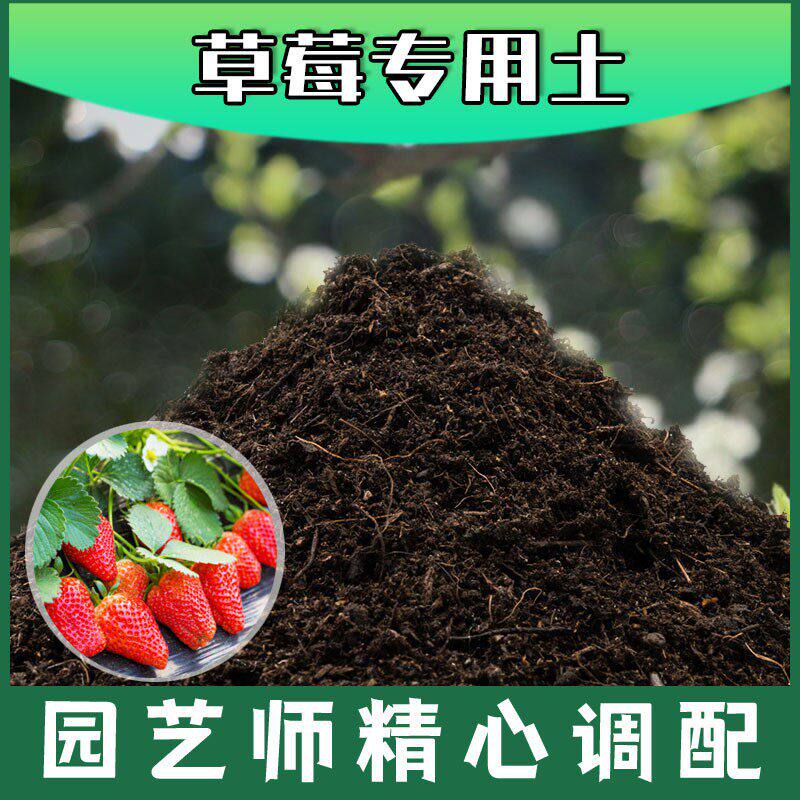 草莓专用土腐殖土种花养花盆栽绿植土草莓营养土种植有机土壤包邮