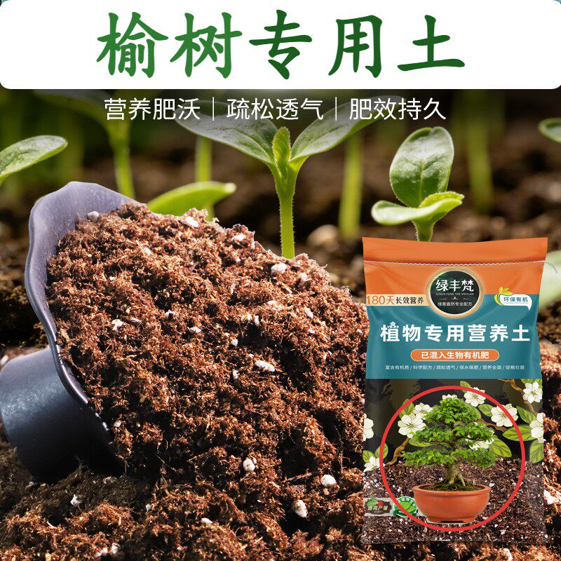 榆树专用轻质土干净无杂养花营养土无菌维持疏松无草籽观叶花土