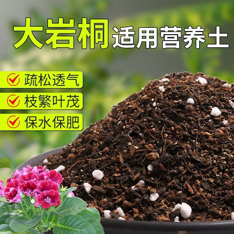 【大岩桐专用土】疏松透气盆栽绿植专用室内植物有机营养土肥料