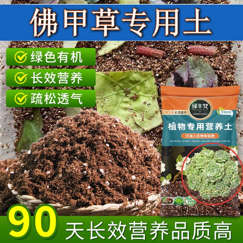 佛甲草适用花土不板结庭院种植土配比科学辅助发根开袋即用球根