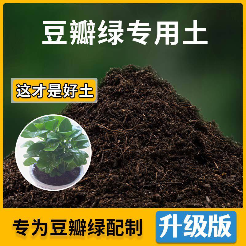 豆瓣绿专用土豆瓣绿营养土家用种植土壤家庭盆栽种花养花有机土