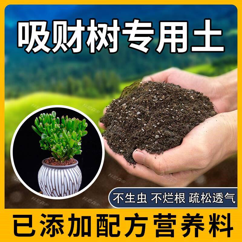 吸财树专用土肥料吸财树营养土种花室内花卉养花植物园艺育苗花土