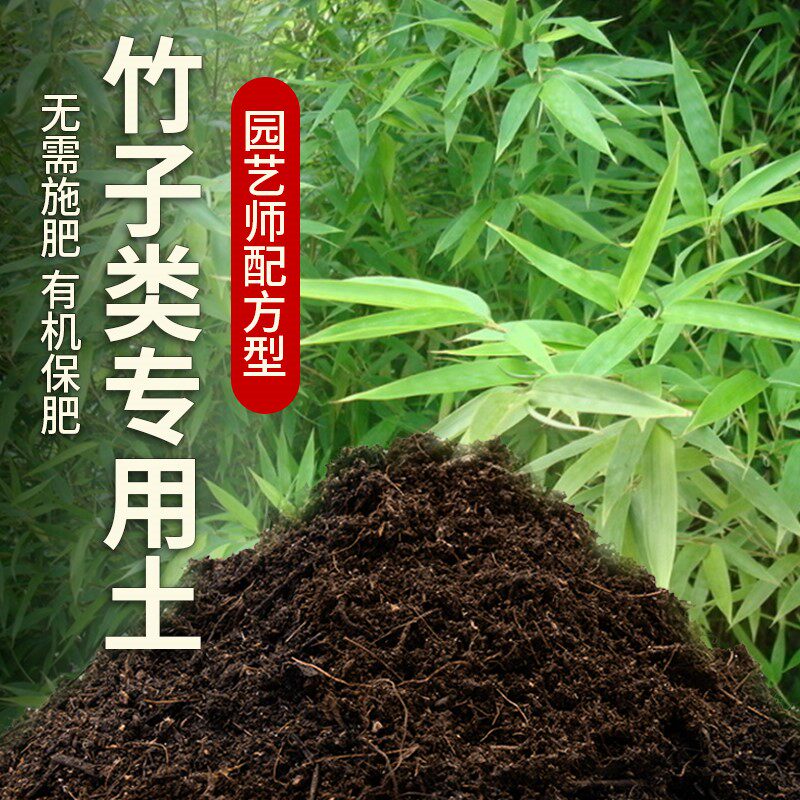 竹子专用土盆栽土竹子类营养土种植土内门竹专用营养土肥料土壤