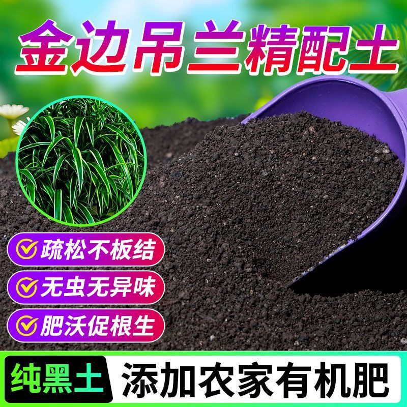金边吊兰有机营养土养花种菜专用土土农家肥土疏松