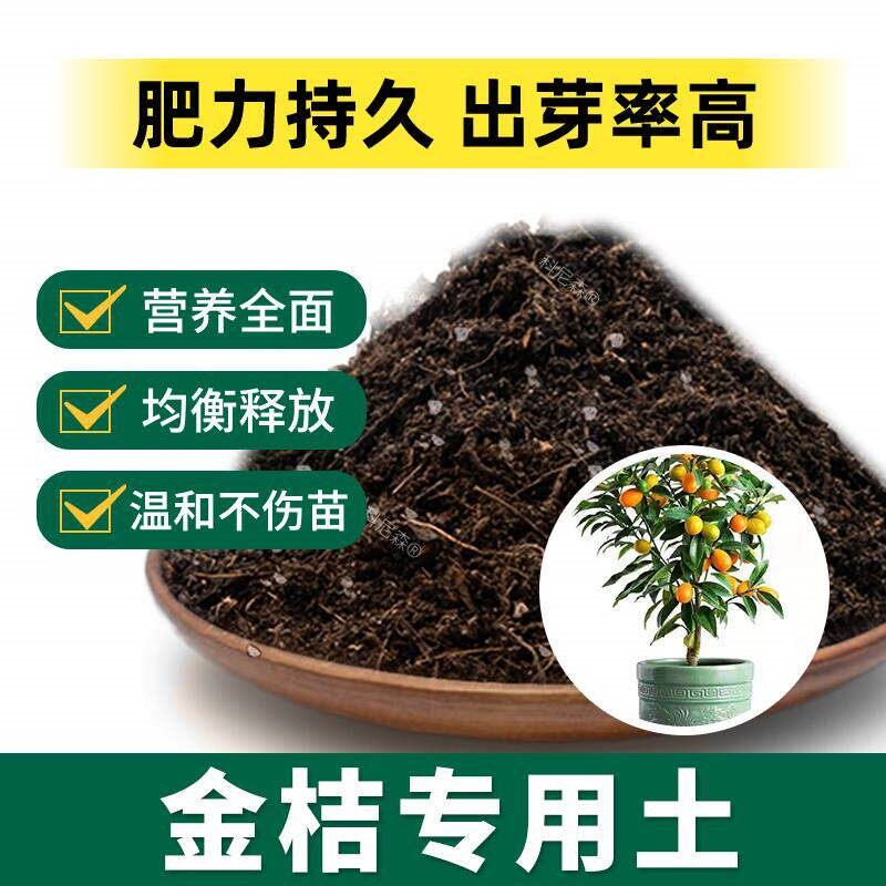 金桔专用土肥料果树金桔种树营养土通用黑土阳台室内水果蓬松土壤
