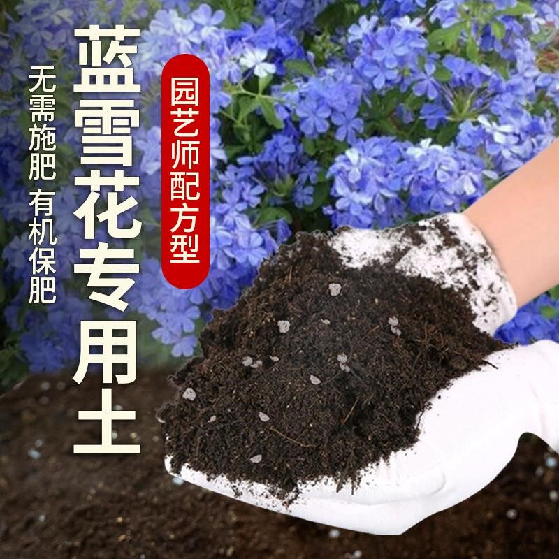 蓝雪花专用土肥料种花蓝雪花营养土花盆园艺有机土种植盆栽黑土