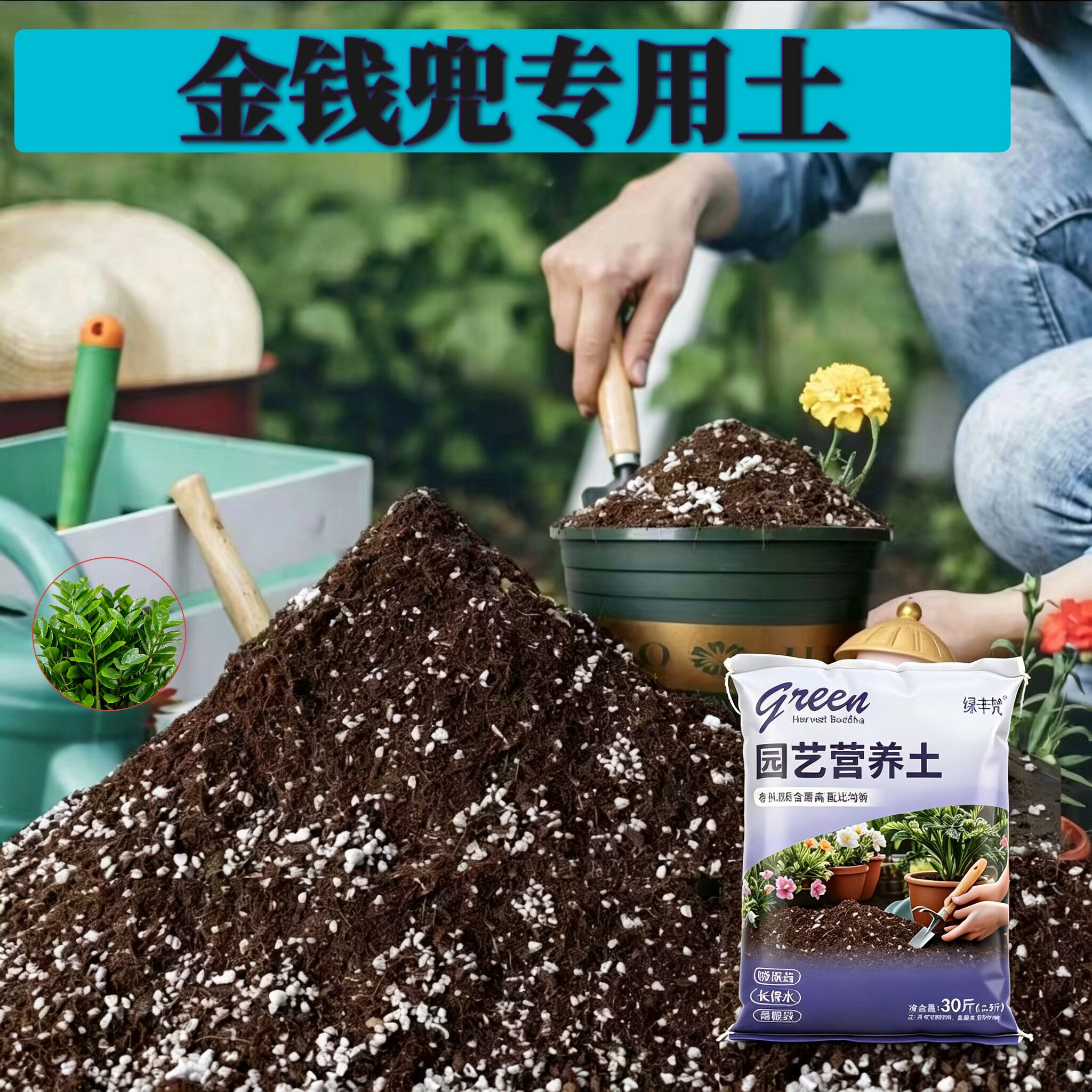 金钱兜适用泥炭土防烂根阳台大包有机壮根观叶养花土疏松透气盆栽