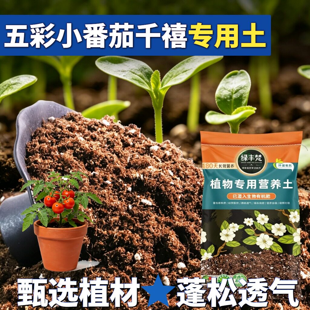五彩小番茄千禧专用轻质土种植土安全可靠提升排水无草籽观花