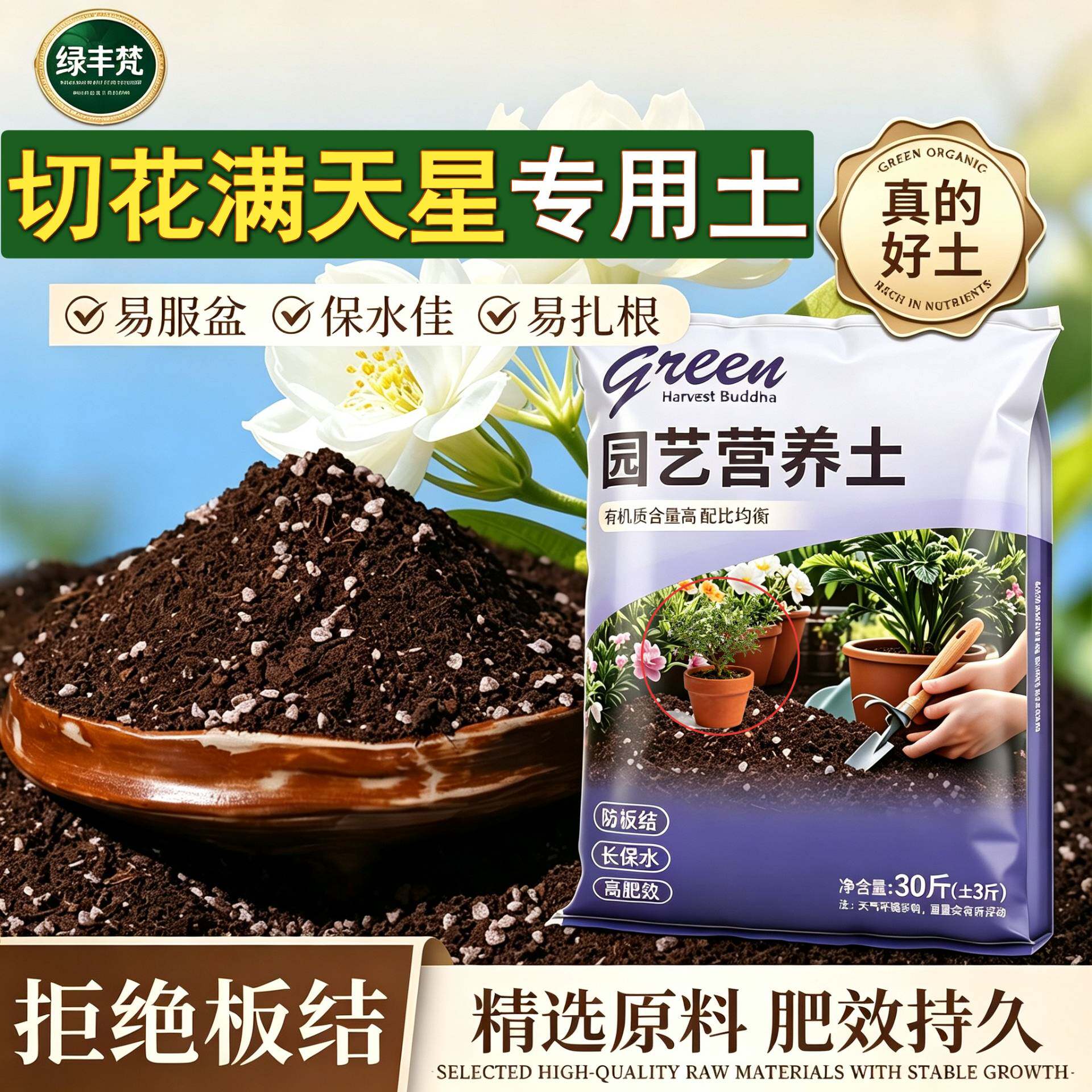 切花满天星适用泥炭土不闷根家庭园艺加牛粪无菌促生长球根增色