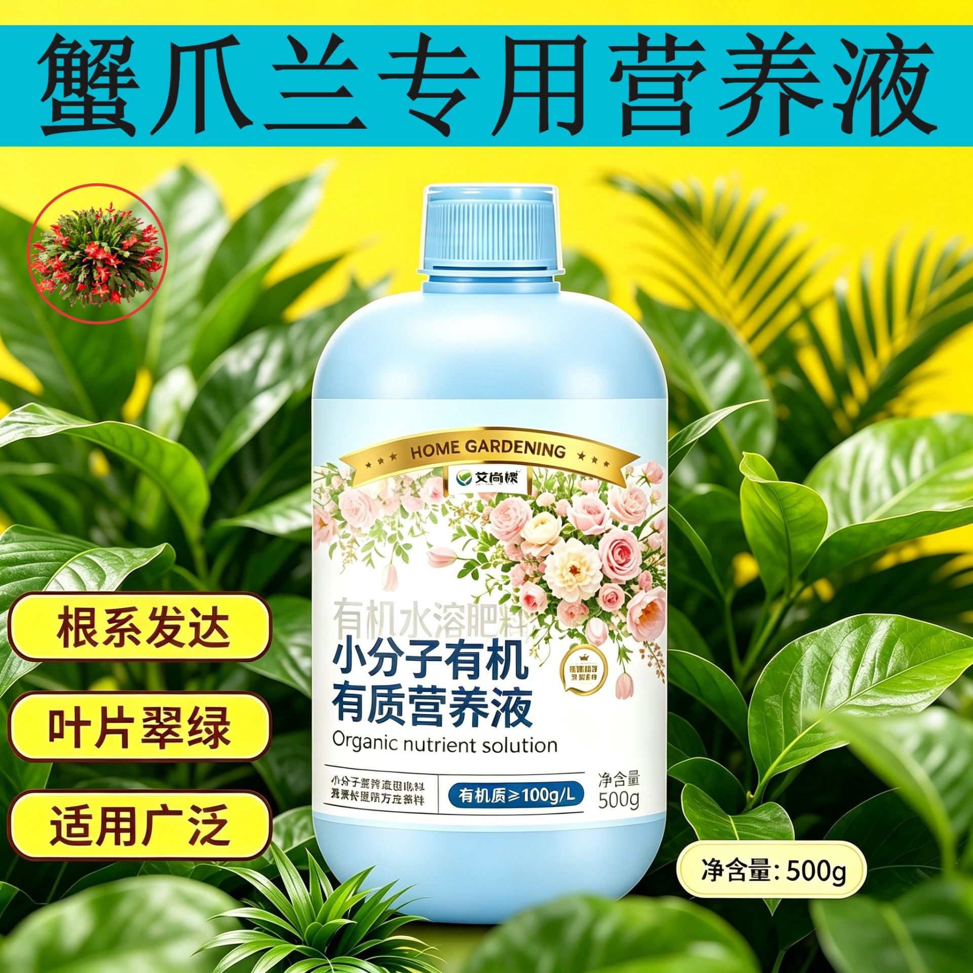 蟹爪兰专用有机营养液小分子有机质水溶肥根叶双补浓缩高效家用