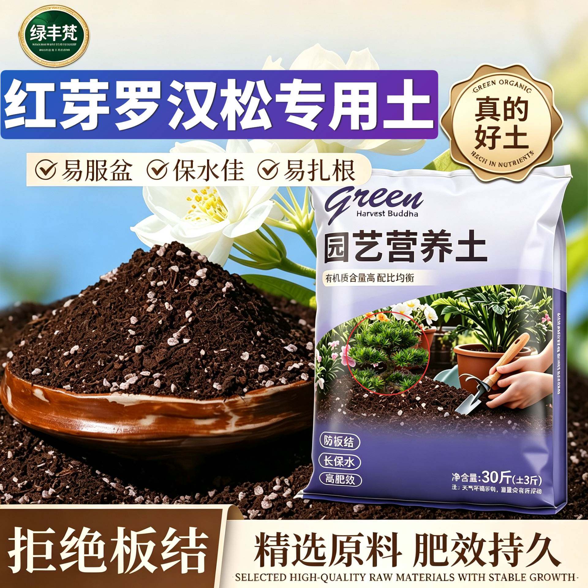 红芽罗汉松适用栽培土高温灭菌菜园大包有机壮根球根优质精选多肉