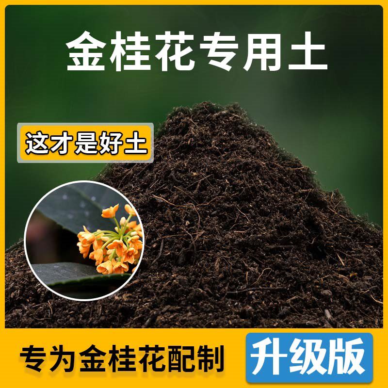 金桂花专用土金桂花营养土家用种植土壤家庭盆栽种花养花有机土