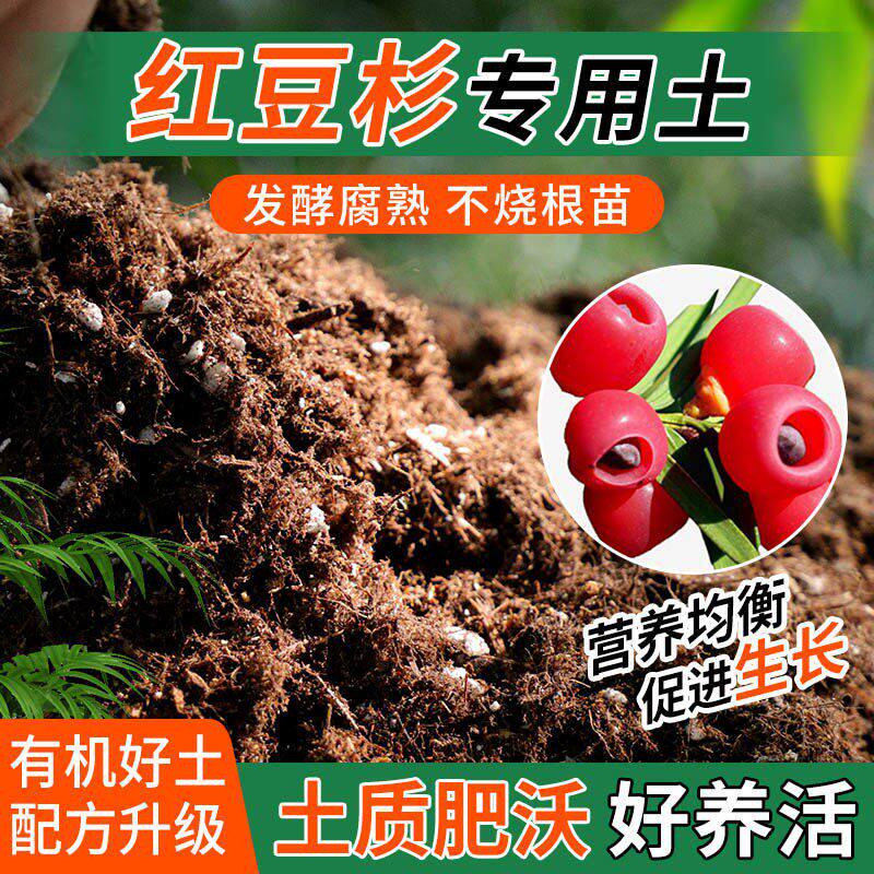 红豆杉专用土种植士营养土家庭阳台养花盆栽绿植轻质有机肥料土壤