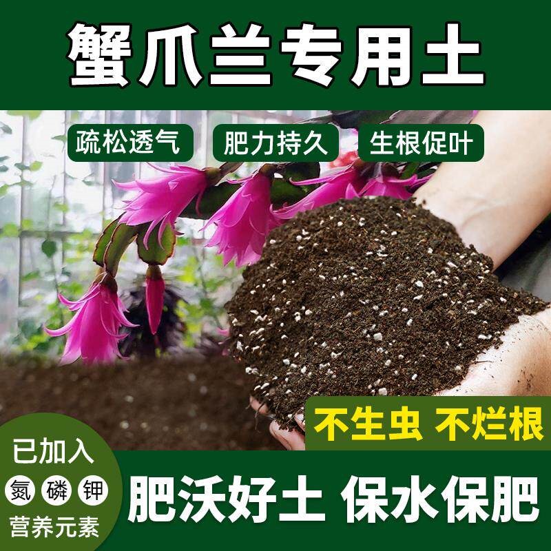 蟹爪兰专用土土壤阳台养花促生长花泥蟹爪兰营养土防生虫室内盆栽
