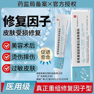 医用三型人源化胶原蛋白重组人体表皮因子凝胶皮肤创面修复再生