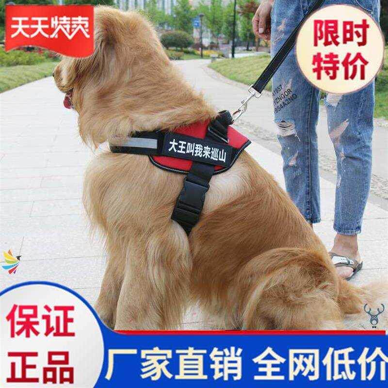 狗狗牵引绳中型背心式防脱法牛牵绳2020狗绳子小狗柴犬创意