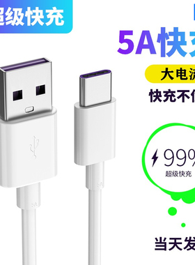 拾本Type-c数据线5A适用mate华为p9p10p20p30小米8se荣耀v9v10v20nova4e6x加长手机tpc超级快充2s充电器tape3