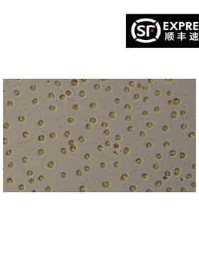 Cryptomonas obovata隐藻FACHB-1301藻浓度10E6个新品免邮