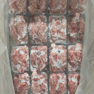 新鲜国产猪脑花精品整个猪脑 进口猪脑花 实惠猪脑猪脑髓烧烤猪脑