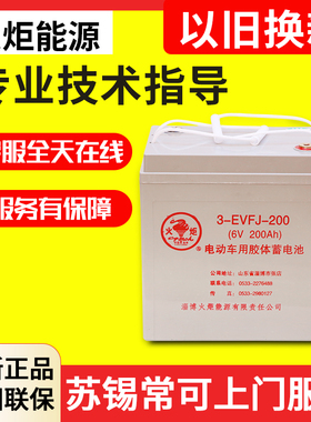 火炬3EVF200/4EVF150/6EVF80/6EVF120旅游观光车铅酸胶体蓄电池
