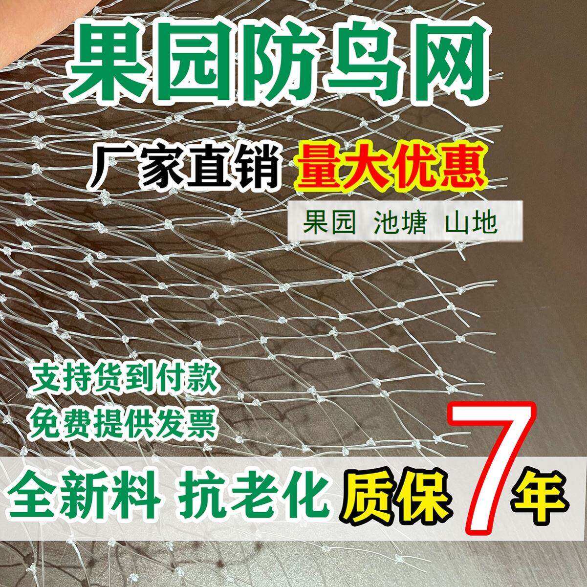 果园防鸟网葡萄果树防鸟尼龙网拦鸟天网防鸟用的网丝网罩纱网鱼塘