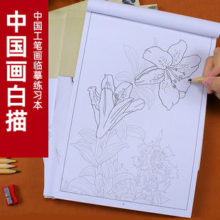 中国画白描入门临摹画册教程儿童涂色书素材绘画本学生花卉图案绘图纸工笔画文房四宝描摹练习本本子描摹本