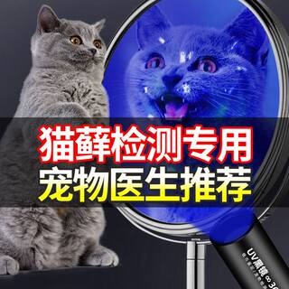 验钞灯小型美容检测仪多功能手电筒酒店宠物犬3w肤真菌逗猫家用uv