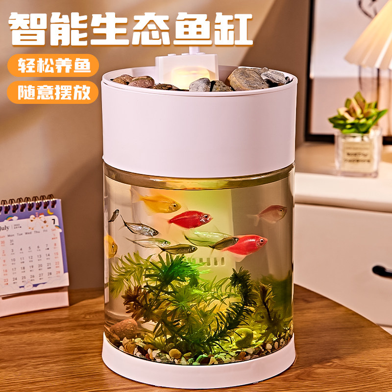 2025新款客厅小型智能生态鱼缸家用桌面微景观植物造景过滤水循环