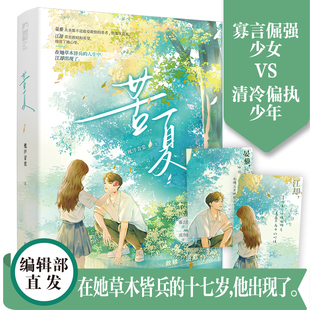苦夏 槐序青棠著 寡言倔强少女VS清冷偏执少年 校园救赎 久别重逢 破镜重圆 酸甜但治愈的现实童话 青春言情畅销实体书籍