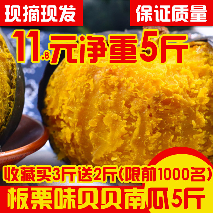 贝贝南瓜 板栗贝贝小南瓜新鲜日本香甜小南瓜金丝南瓜宝宝辅食5斤在类目 水产肉类/新鲜蔬果/熟食, 新鲜蔬菜/蔬菜制品, 新鲜蔬菜, 南瓜中 - 来自Buy2taobao.com提供专业的淘宝代购服务