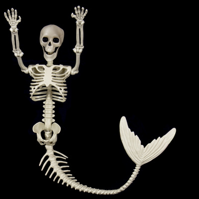 Halloween fish skeleton 80cm simulation prop万圣节鱼骨架道具