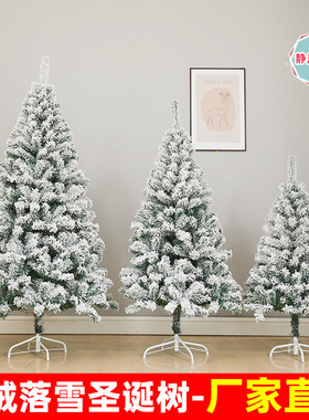 White flocking Christmas tree decorated tree白色植绒圣诞树