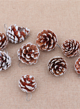 Christmas pine cones Christmas pendants圣诞节装饰